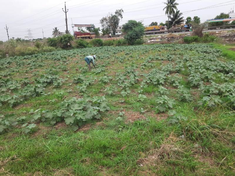 Land for sale  Beside  Krishnavaram  Tollgate